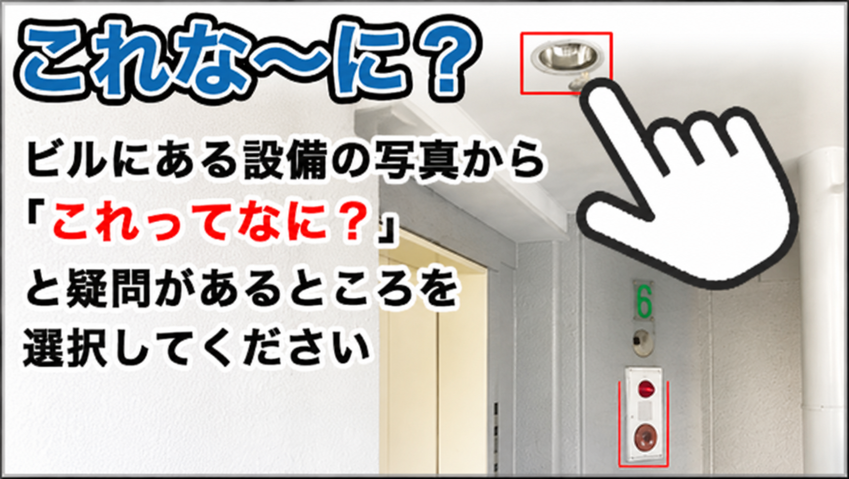 これなーに?